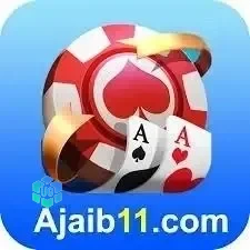 Logo ajaib11